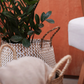 Kit 2 Cestos Organizadores Multiuso Decorativo Branco e Natural Seagrass